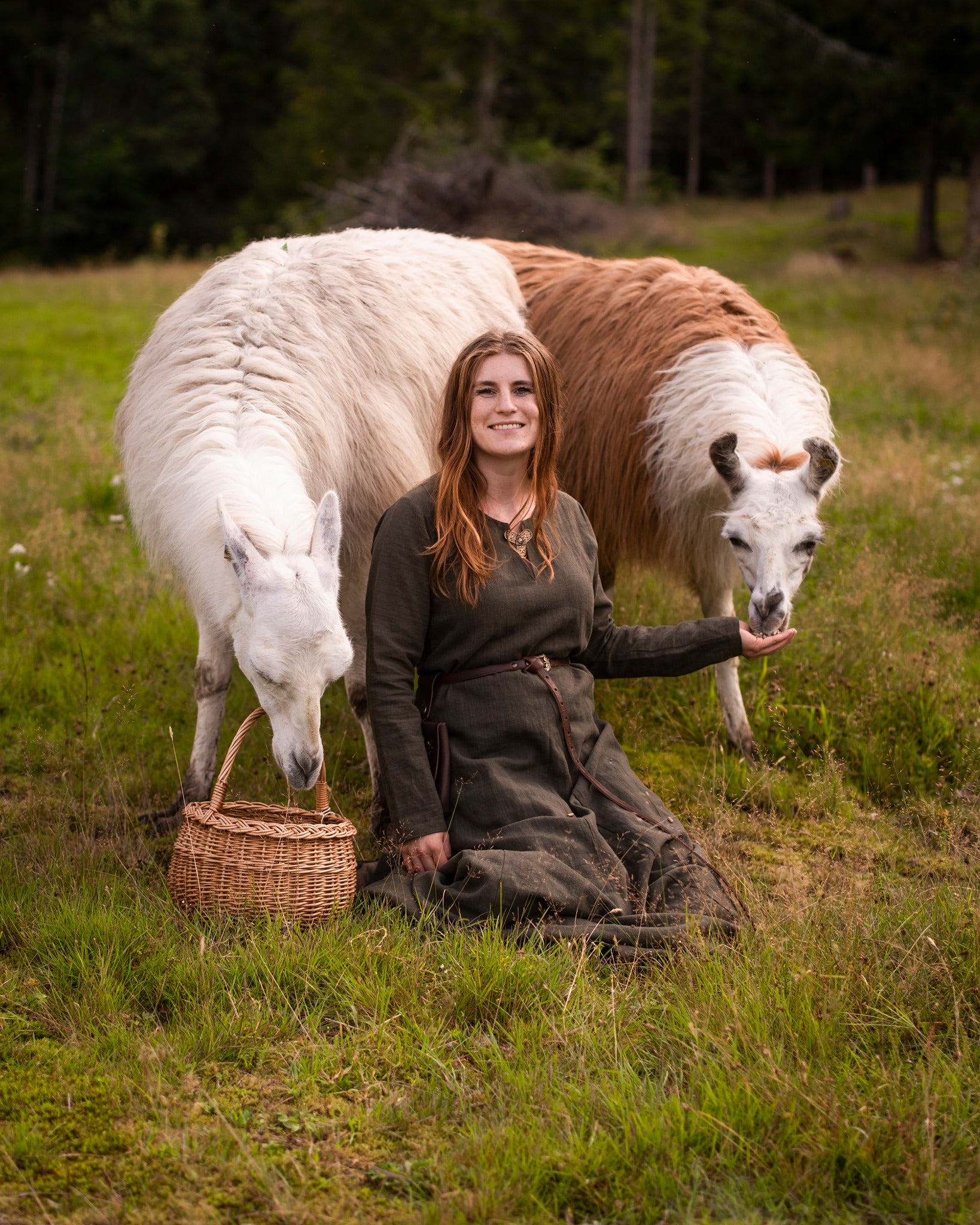 Frøya viking linkjole