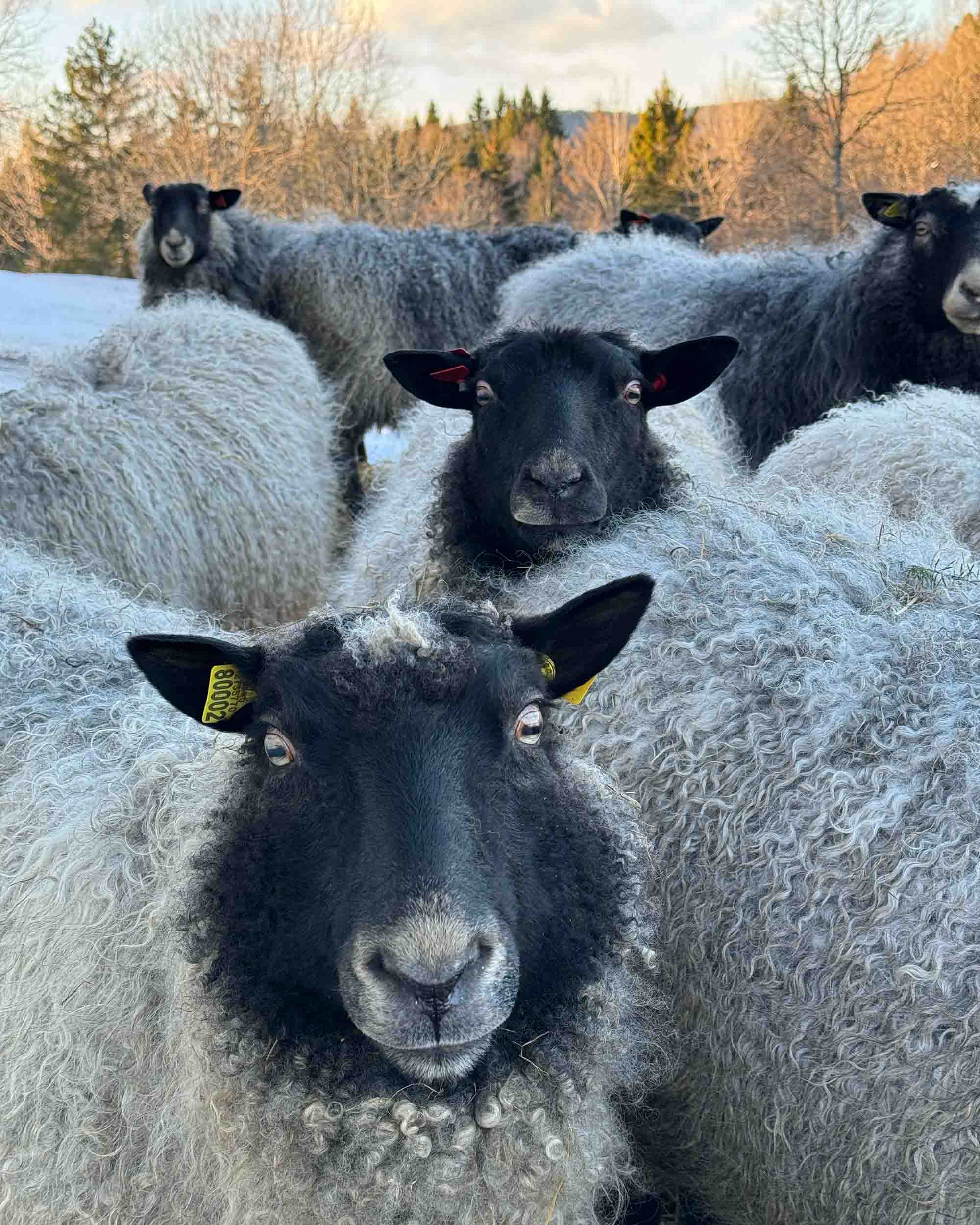 Garn fra Kulerød Gård