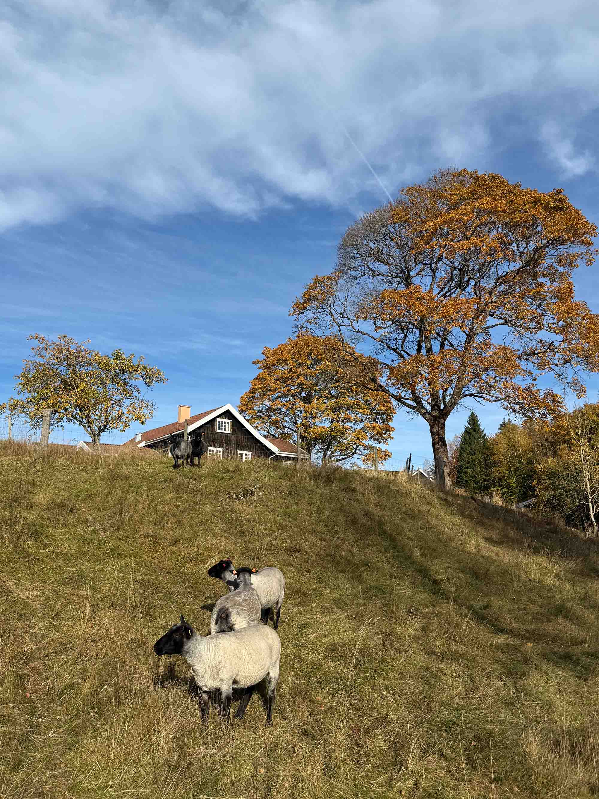 Garn fra Kulerød Gård