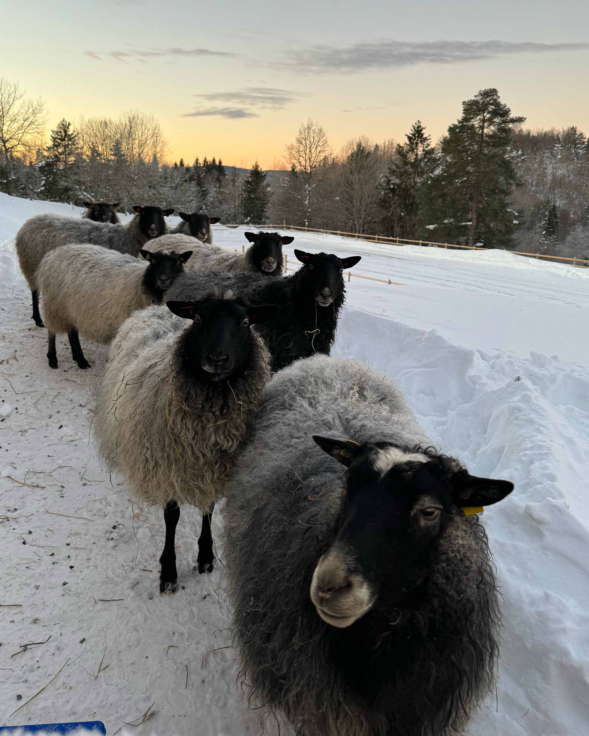 Garn fra Kulerød Gård