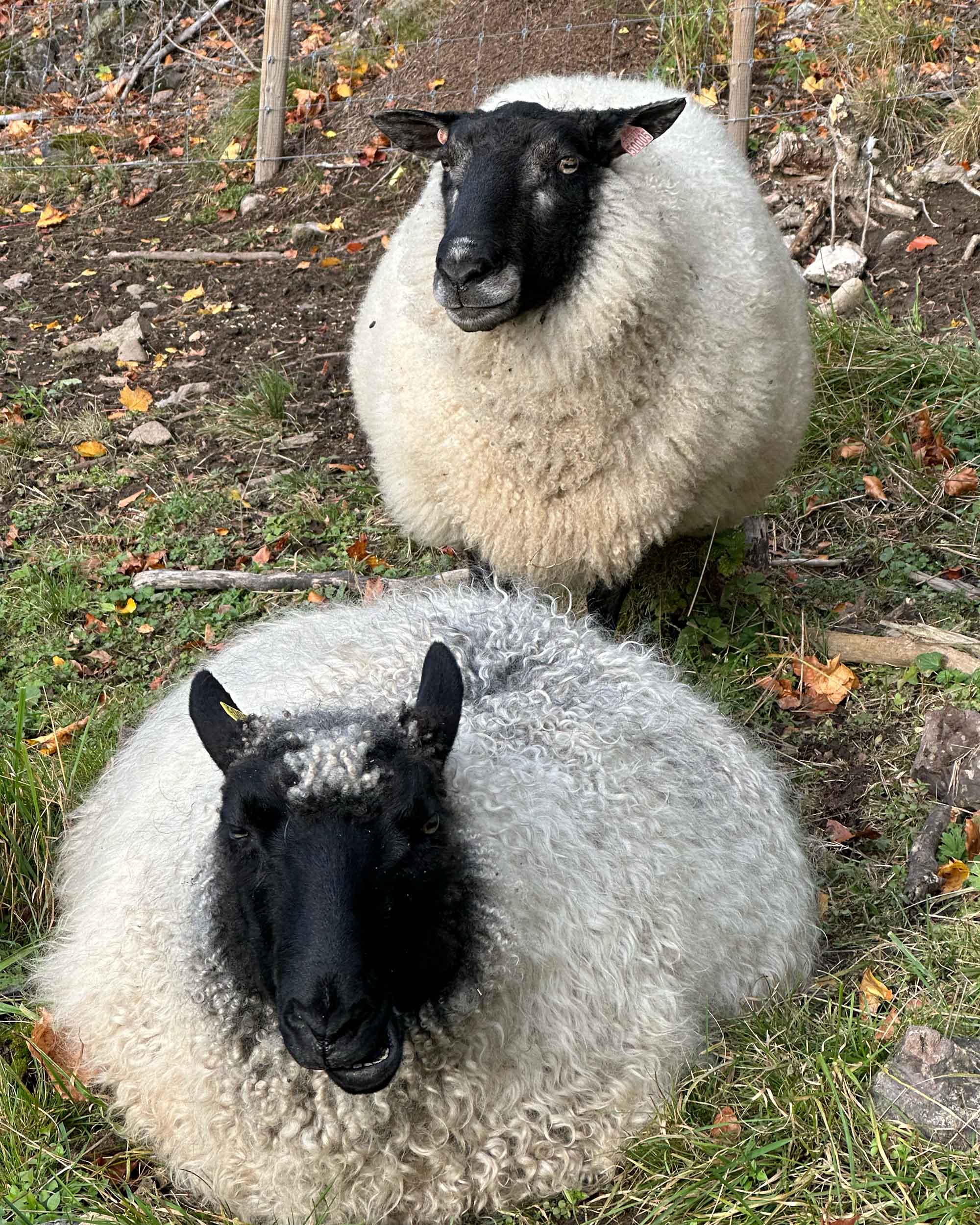 Garn fra Kulerød Gård