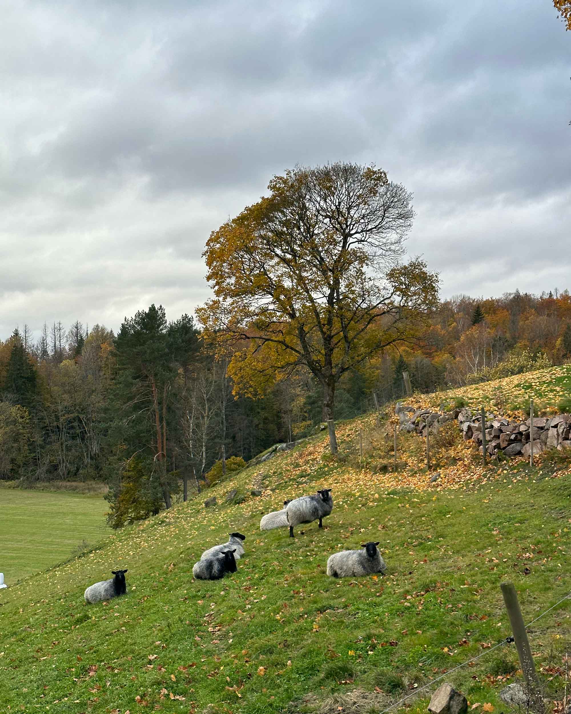 Garn fra Kulerød Gård