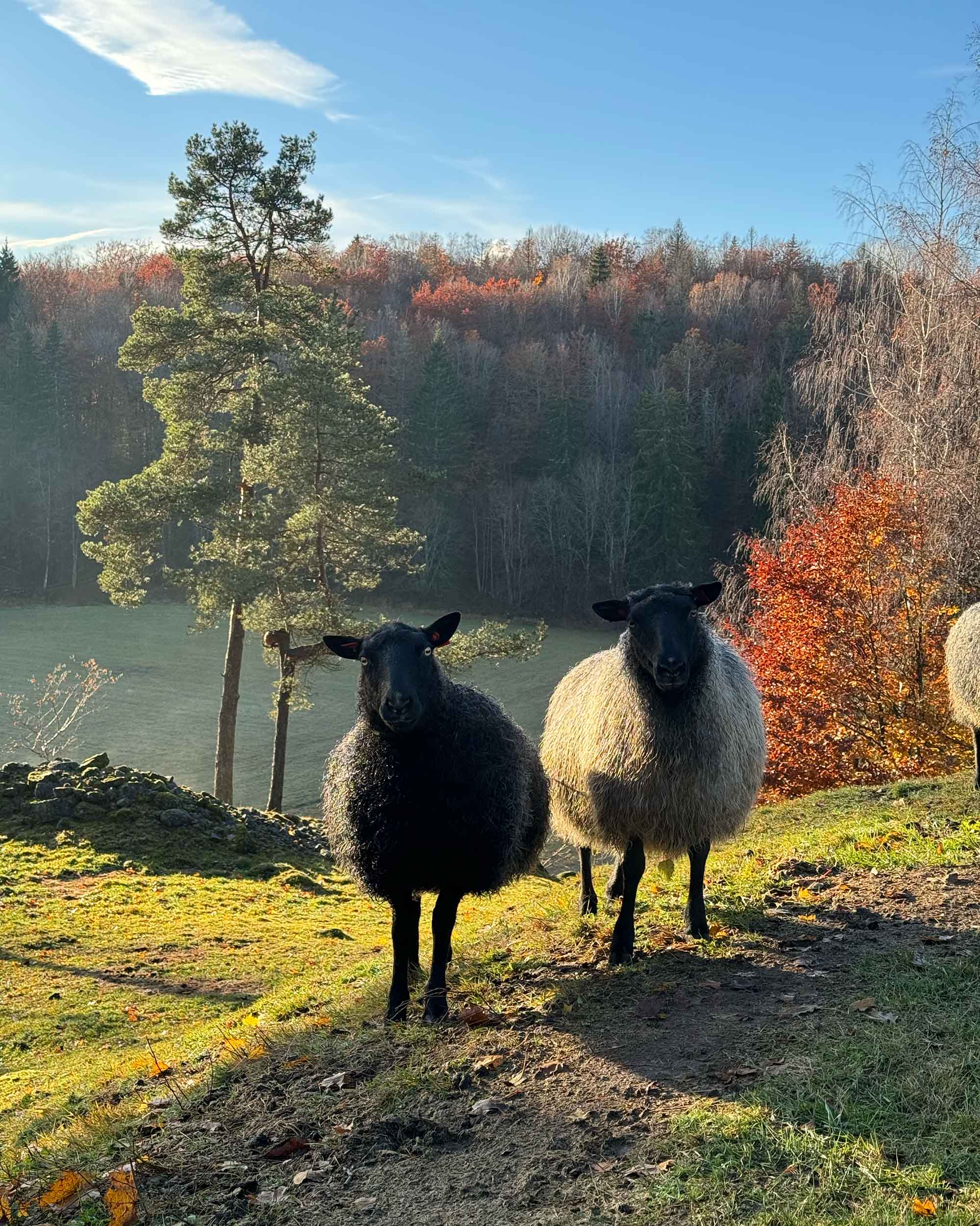 Garn fra Kulerød Gård