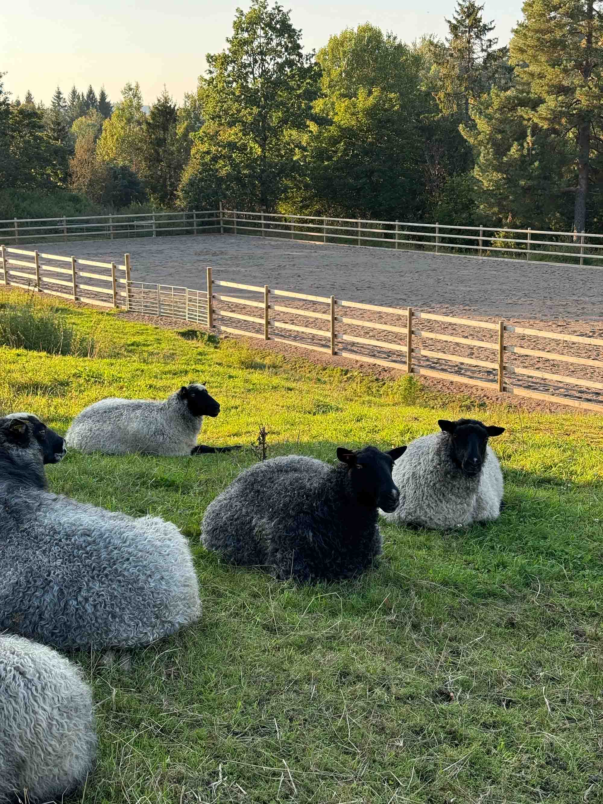 Garn fra Kulerød Gård